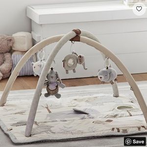 Skip Hop X Pbk Animal Friends Classic Activity Gym